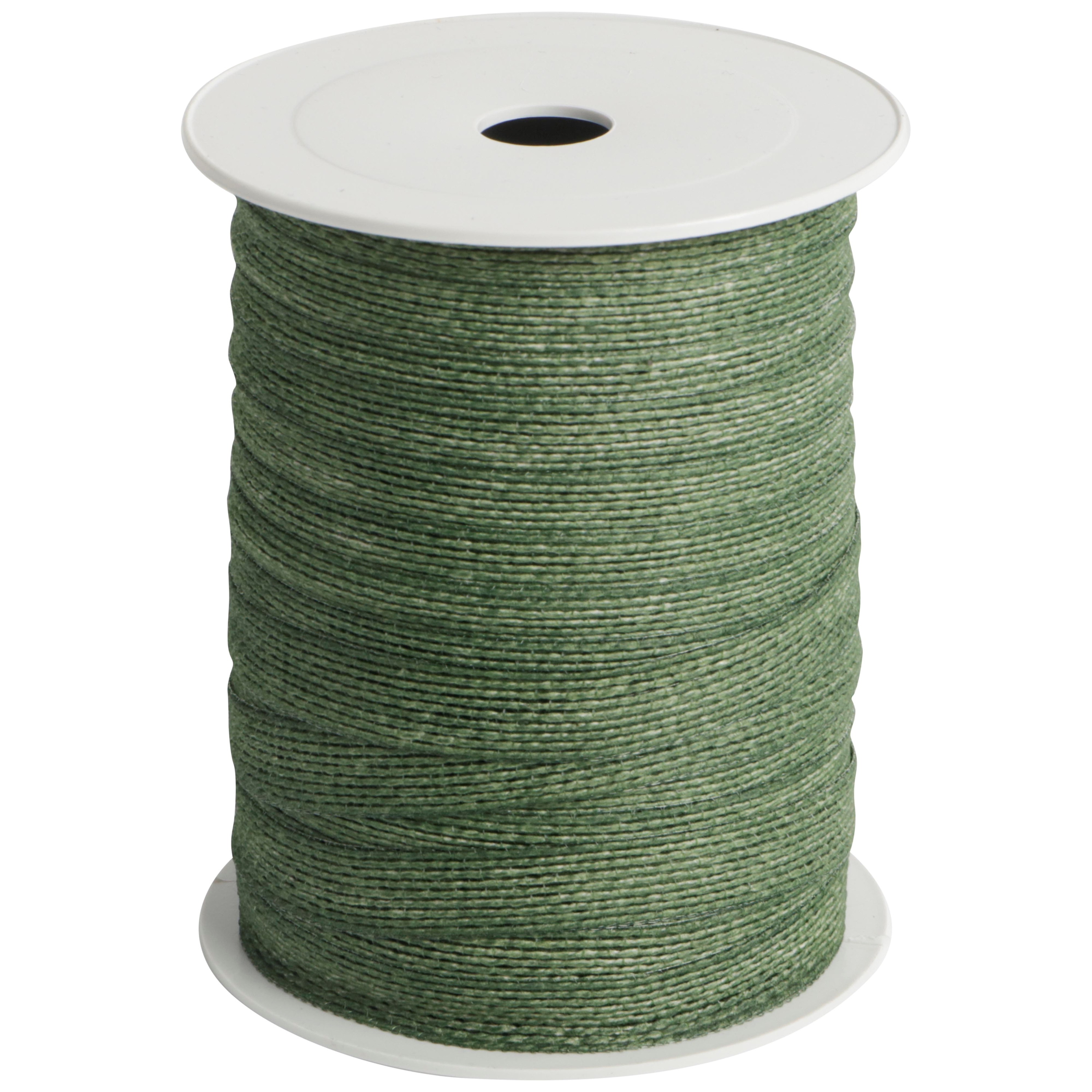 Afbeeldingen van Rol jute lint 10 mm 25 mtr groen