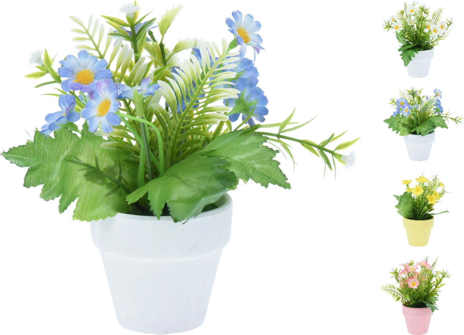 Afbeeldingen van Margrietje in aardewerk potje 15 cm assorti