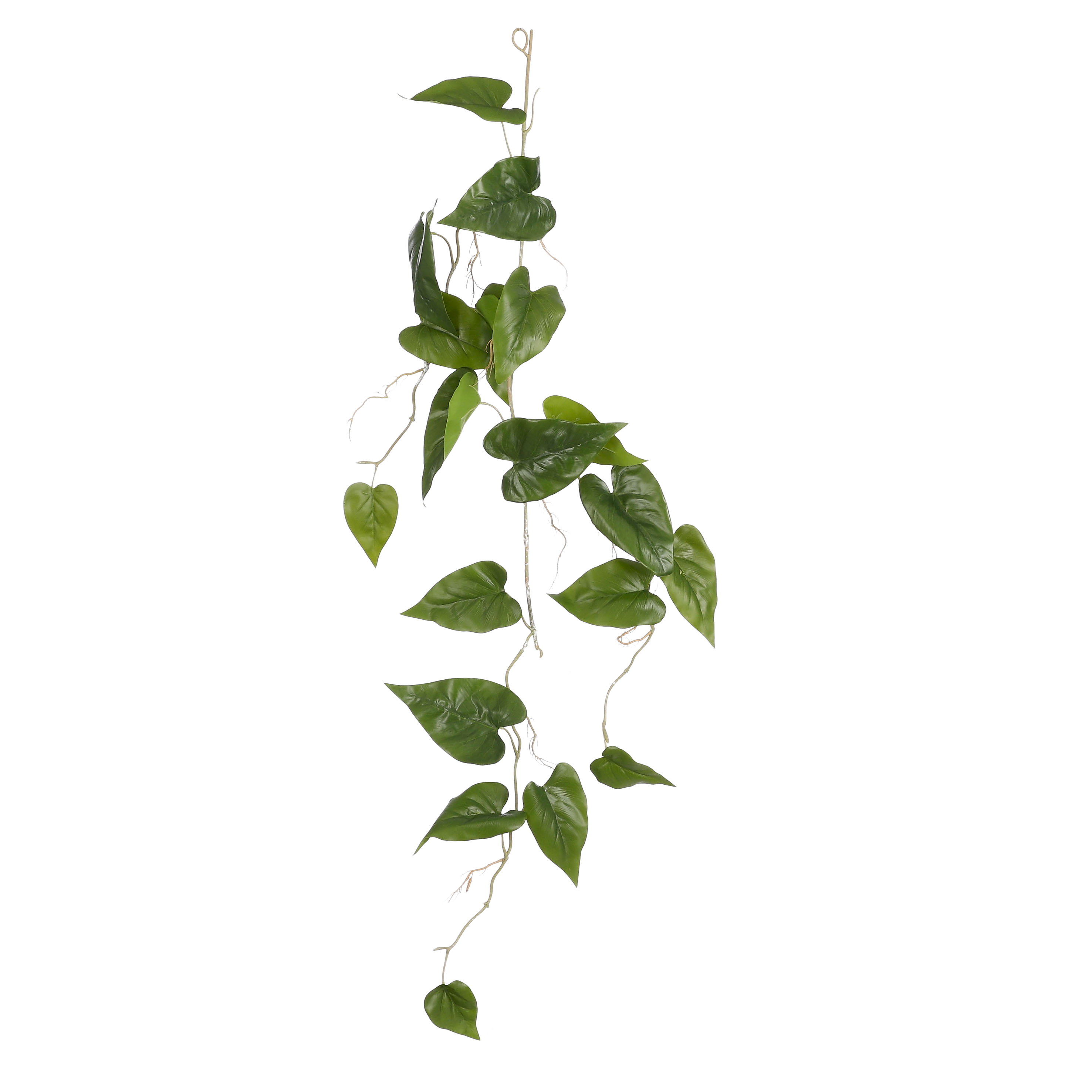 Afbeeldingen van Philodendron hangend groen 115 cm