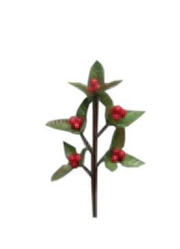 Afbeeldingen van Ds à 12 takjes met fijne blaadjes en besjes