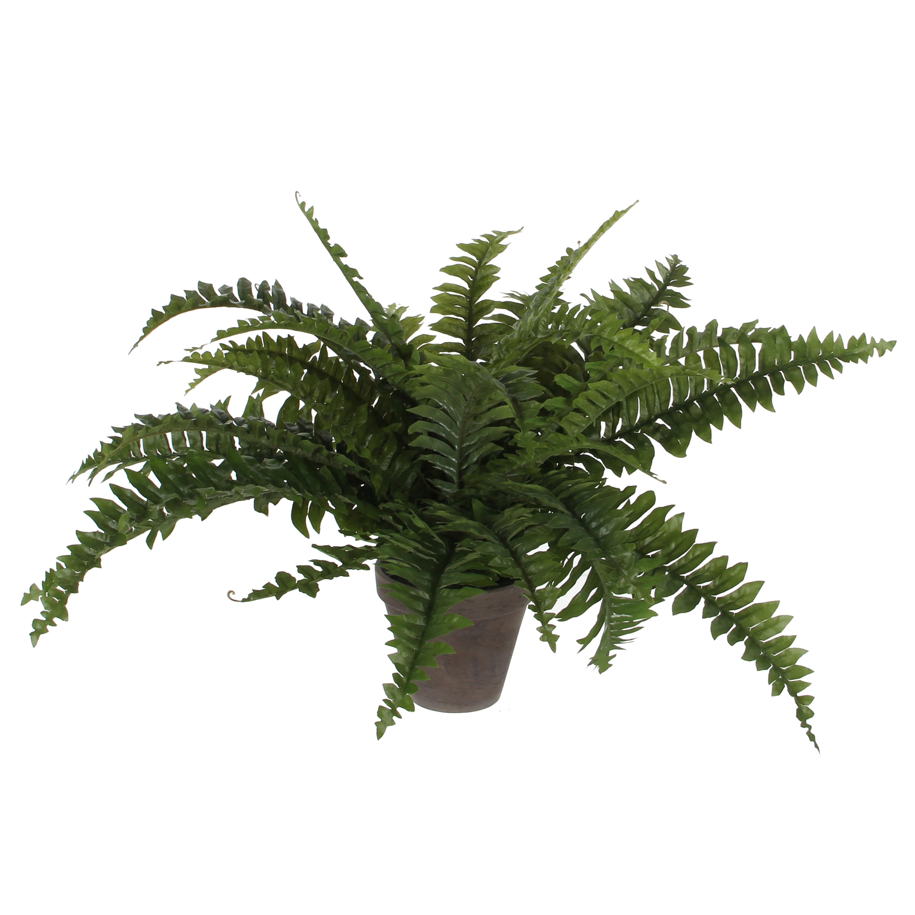 XHXSTORE 2 Stks Kunstmatige Varen Planten Nep Varen Binnen Kunststof Varen Groene Struiken Struiken Faux Boston Varen Outdoor Thuis Tuin Verandah Bruiloft Hangende Mand Decor