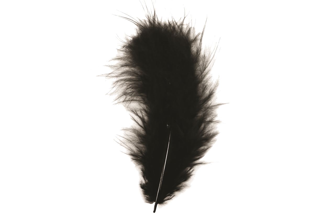 Picture of Ds à ca.40 gram veren zwart