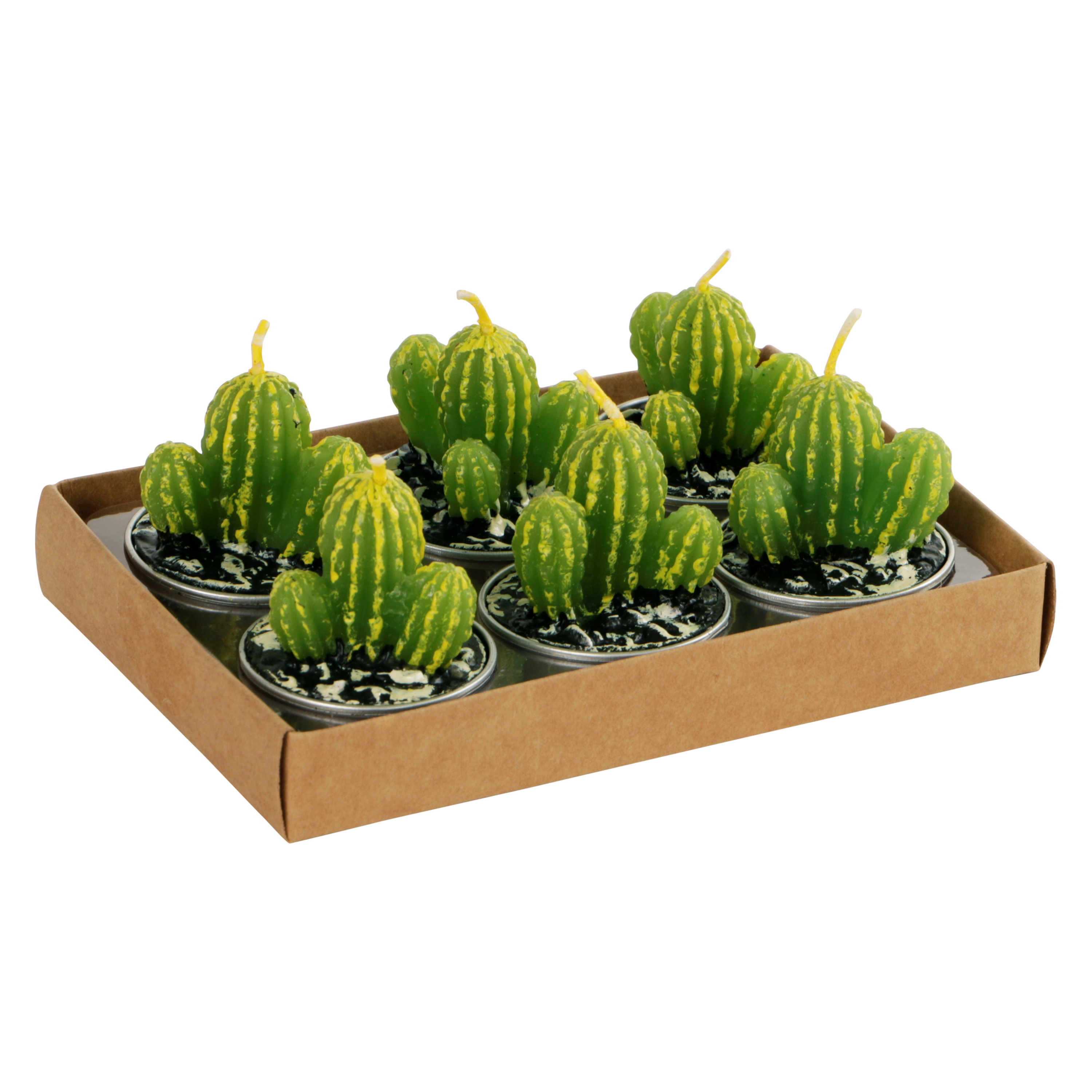 Afbeelding van Set à 6 cactus kaarsje 13,7x9,1x5 cm