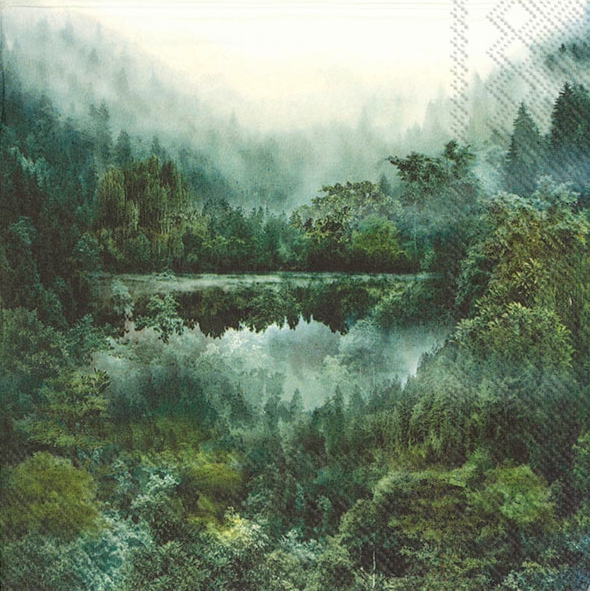 Picture of Pak à 20 servetten 33x33 cm 3 laags Magic Forest (ucl)