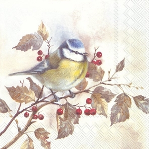 Picture of Pak à 20 servetten 33x33 cm 3 laags Sweet Little Bird